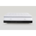1800 AUDACE ARMONIA DUAL 12  3-4 08.jpg