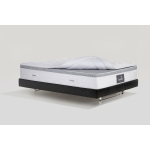 1800 AUDACE ARMONIA DUAL 12  3-4 03.jpg
