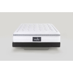 1800 AUDACE ARMONIA DUAL 12  3-4 04.jpg